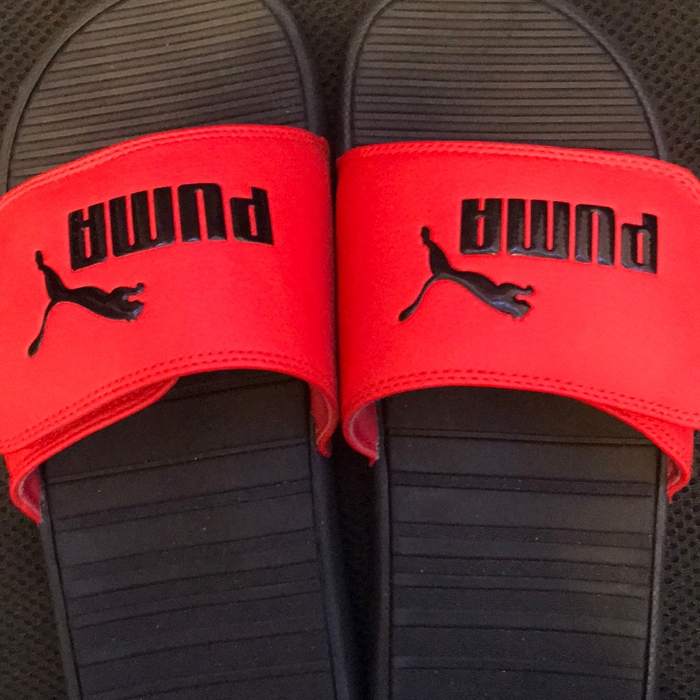 Puma slide